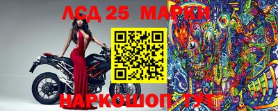 таблы Новокубанск