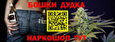кокаин Новодвинск